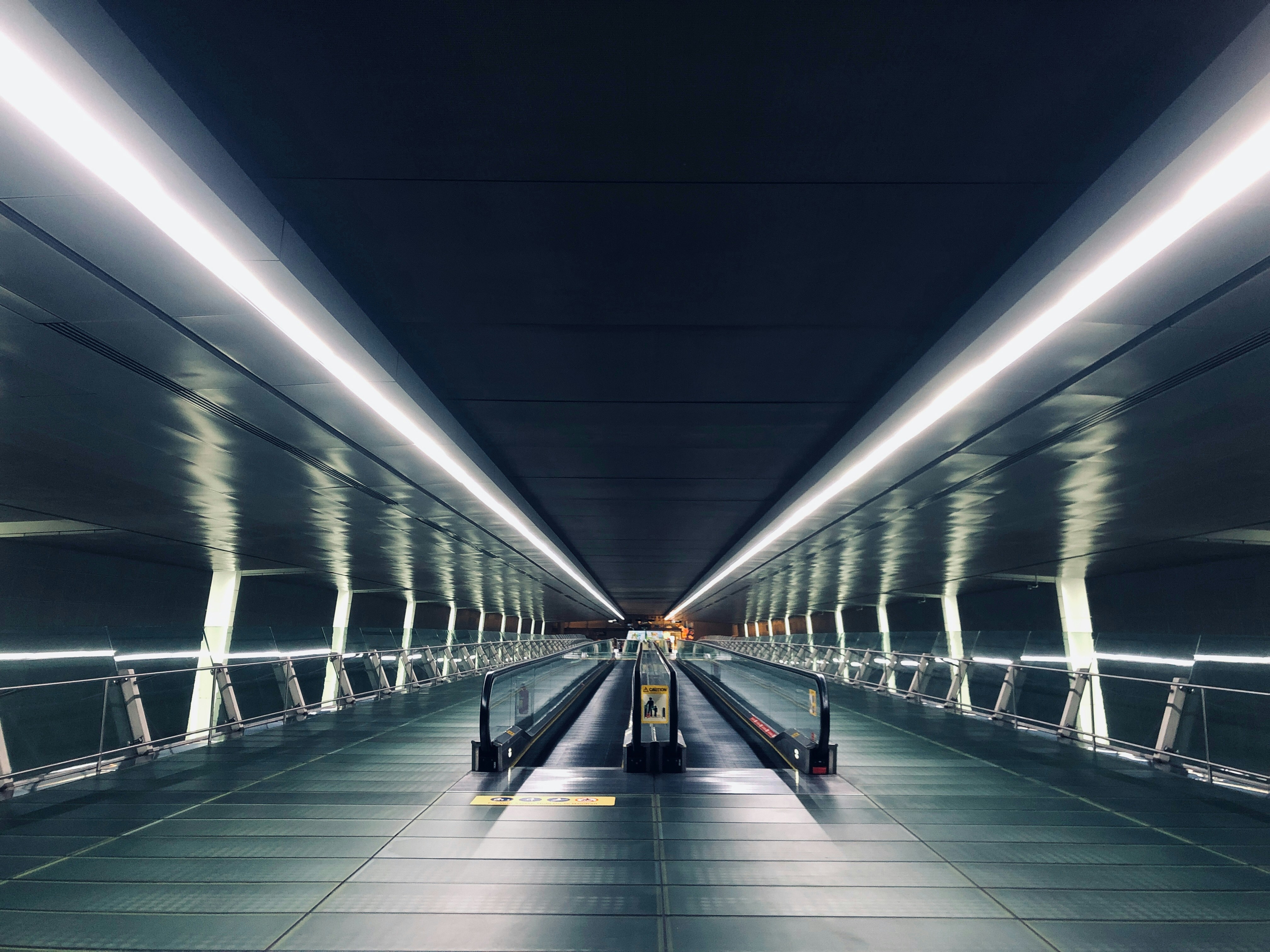 What the next year of software development looks like